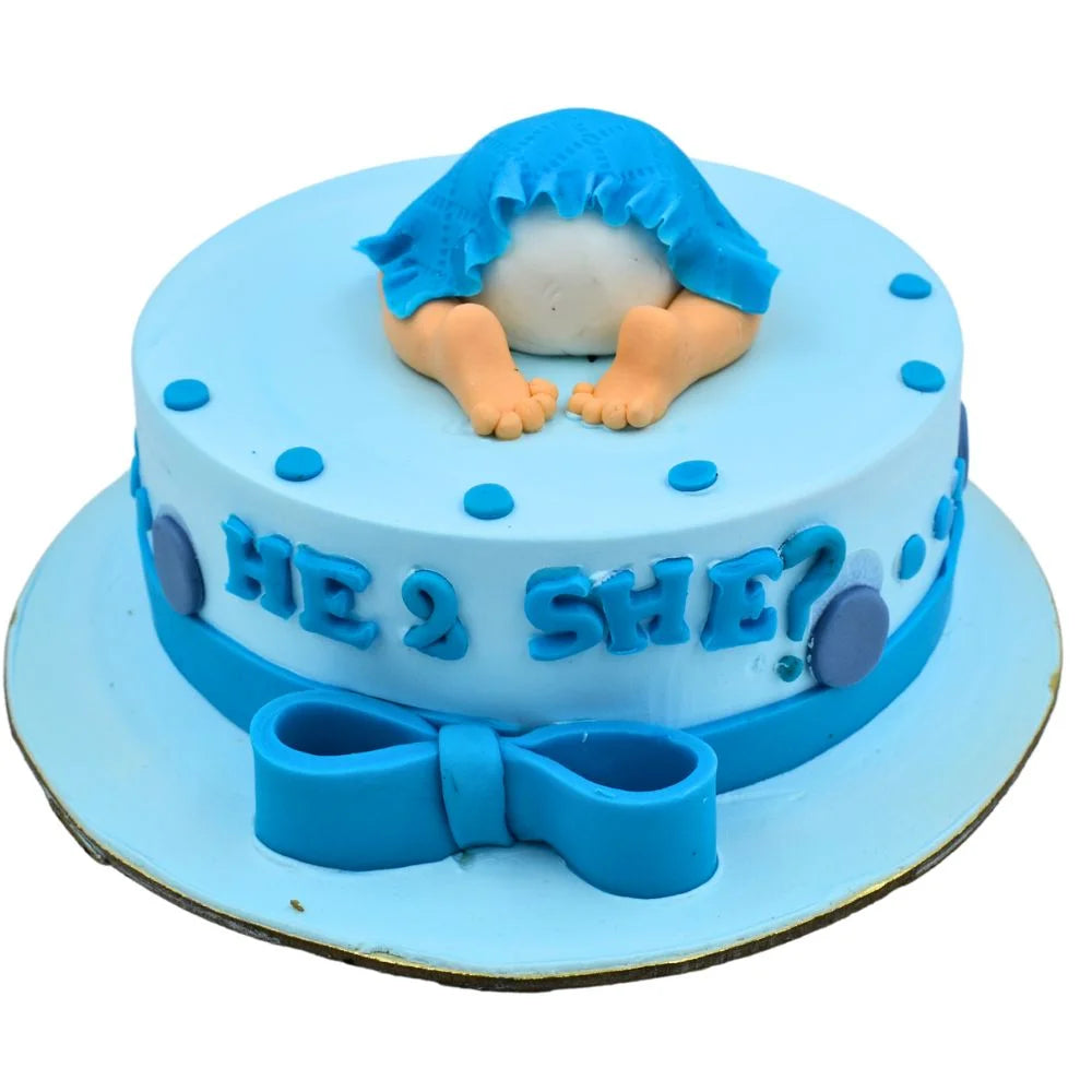 He & She Baby Cake