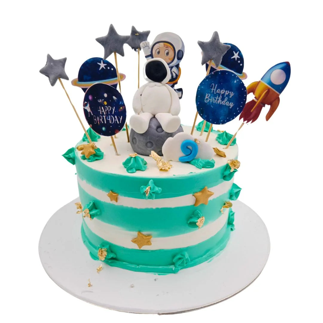 Space Lover Cake